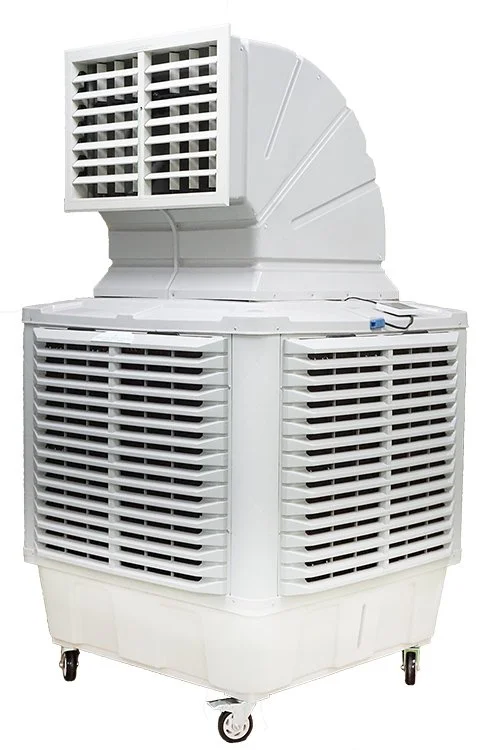DTC260-D2 左向き